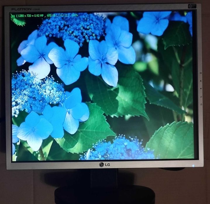 Монитор 19" LG Electronics L1953S-SF