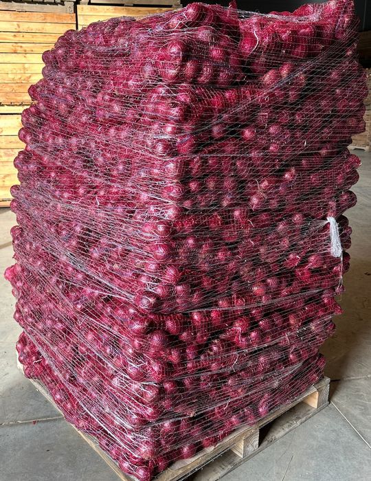 Cebula czerwona w worku