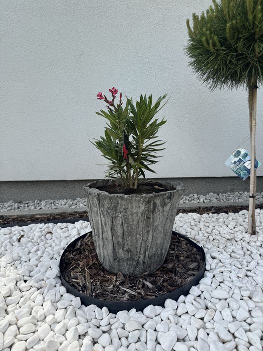 Ręcznie robione doniczki ogrodowe z betonu – unikatowe wzory