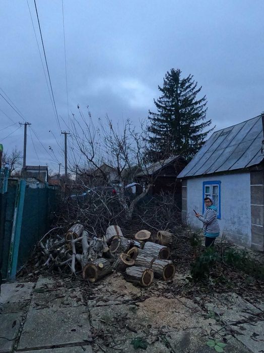 Обрезка деревьев Спил деревьв Обрезка сада Спил с вышки Вывоз Дробилка