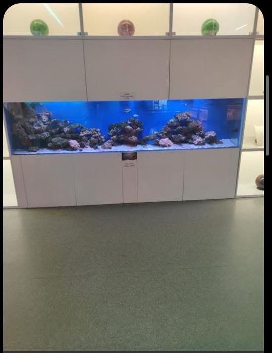 Akwarium 850L z meblami