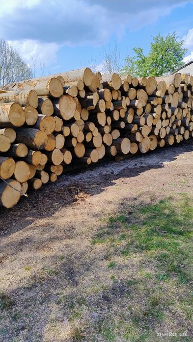 Drewno Dąb ,kominkowe, opałowe, Transport gratis ..