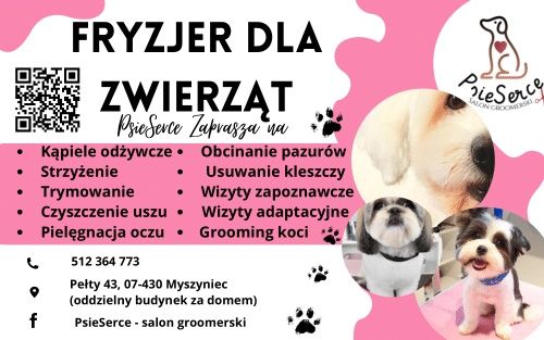 Groomer/fryzjer dla zwierząt