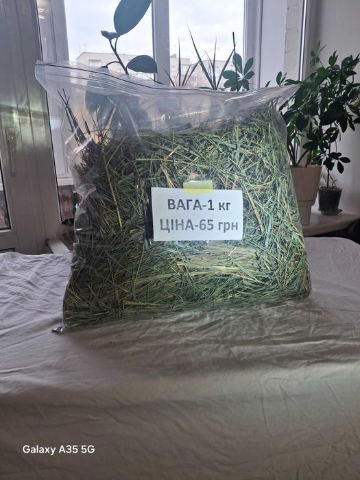 Сіно запашне зелене для гризунів та тварин