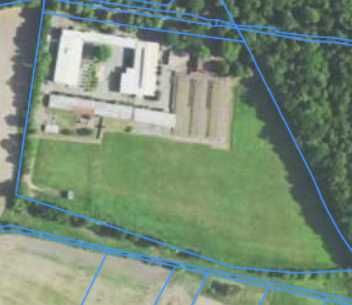 Syndyk wydzierżawi tereny do uprawy rolnej