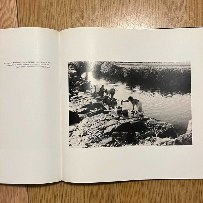 O Rio Leça - Andrelino Fernandes