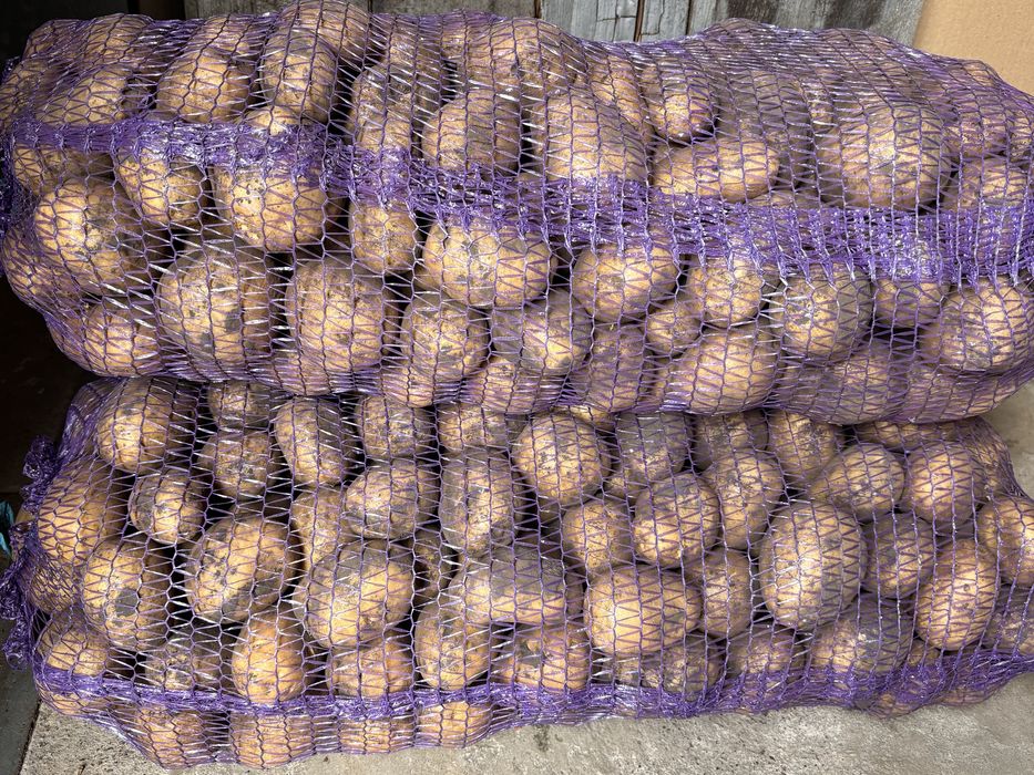 Продам їстівну картошку