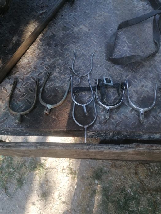 Utensílios para cavalo