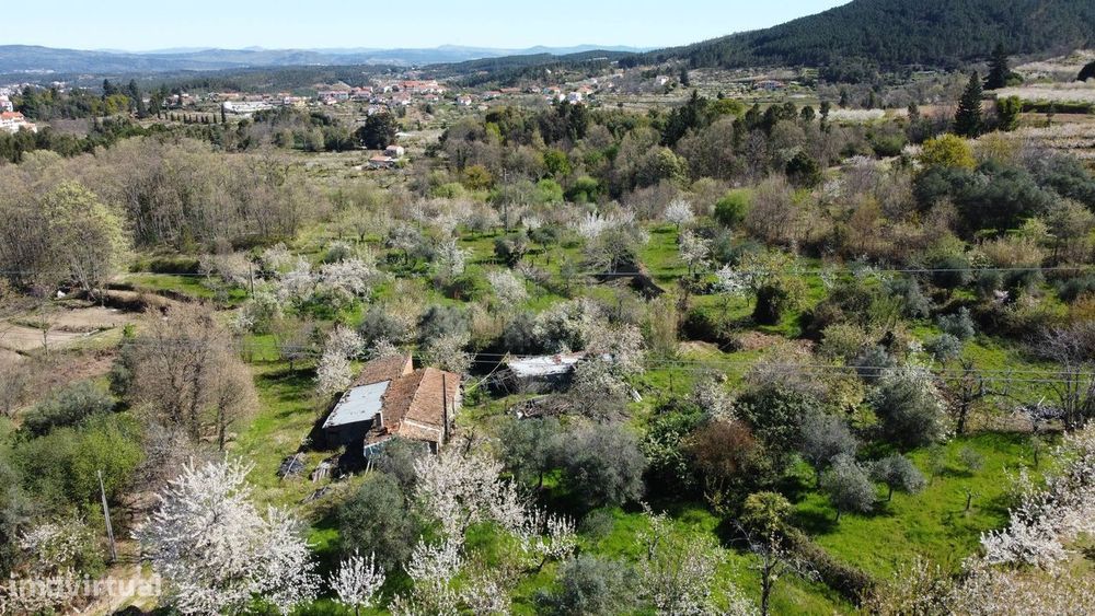 Quinta c/ 5,5 ha - Alcaide - Fundão