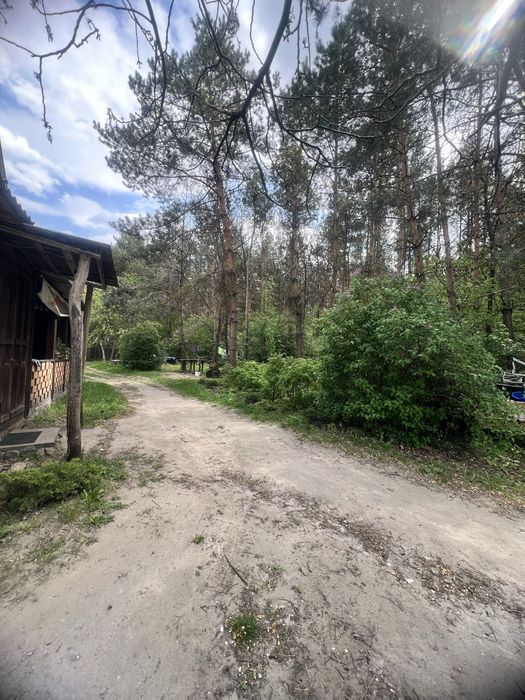 Жорнівка продаж пів будинку 4 кімнати Газ/Камін з виходом в Ліс