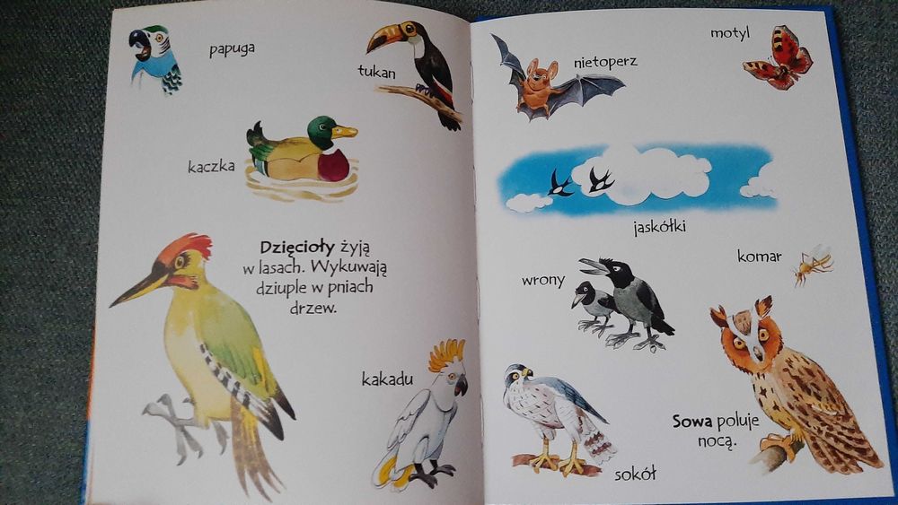 Tony Wolf seria Pierwsze książeczki 3 szt Mały atlas zwierząt las wieś