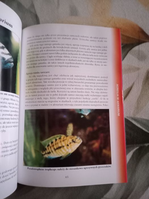 Malawi piękno i pasja