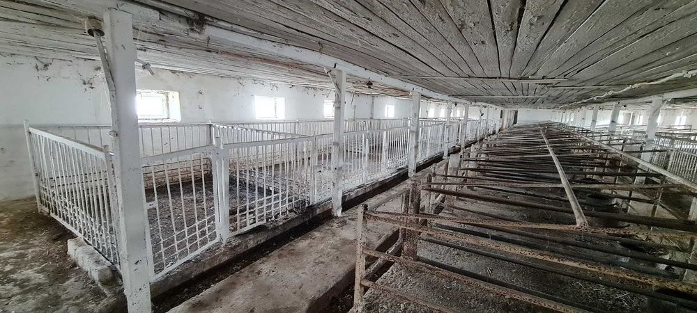 Продаж тваринницького комплексу. 5000 кв.м. 11 га.