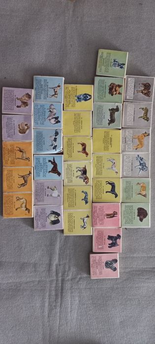 Coleçao carteiras fosforos - raças de cães