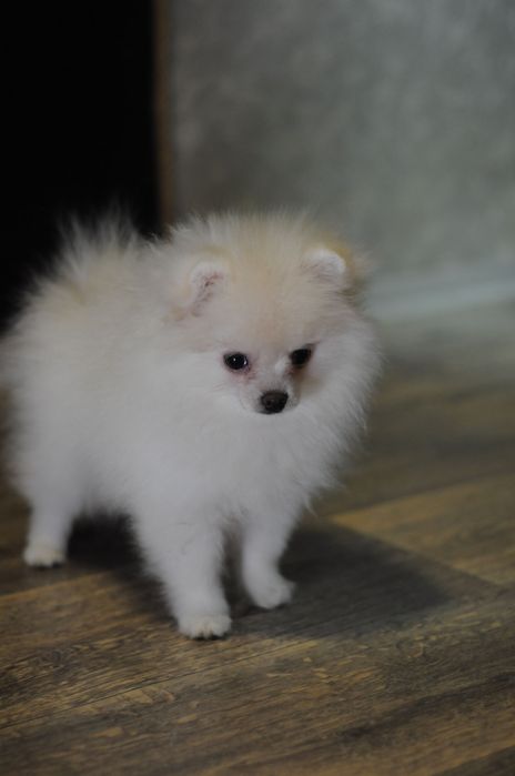 Плюшевая мини девочка