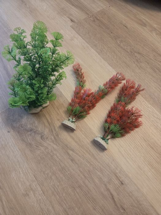 AKWARIUM Aquael 72L + Dodatki