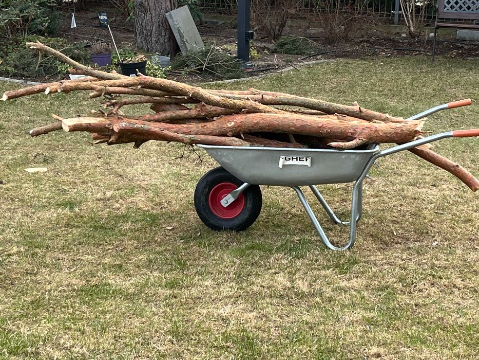 Drewno na opał za darmo