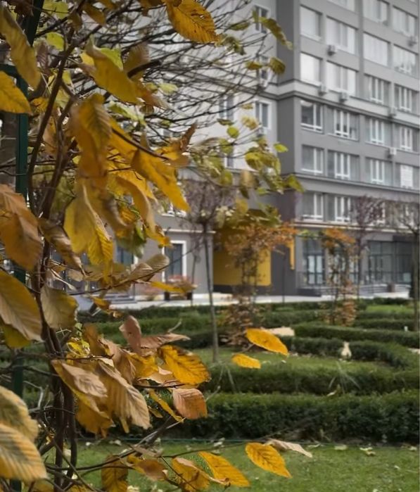 Двокімнатна всі державні програми, є-оселя, постанова, сертифікат