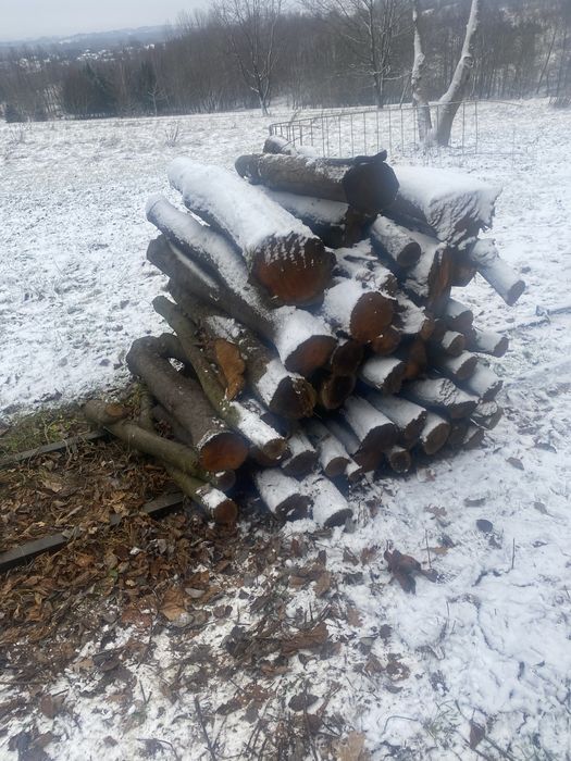 Drewno opałowe Śliwa