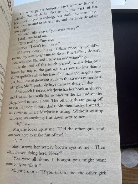 freida mcfadden the locked door англійською