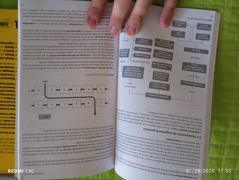 Livros resumos e revisões do secundário de Biologia, Geologia, Física e Química