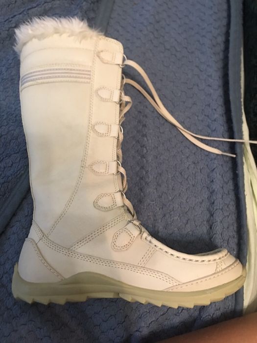 Демисезонные сапожки CAT