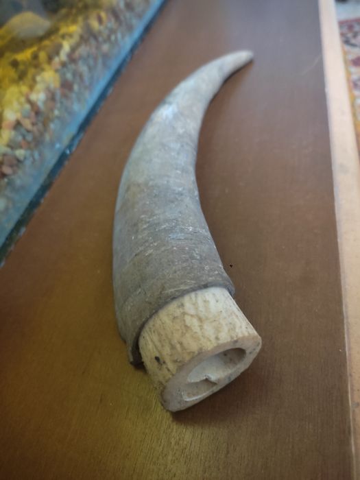 Ріг кози рукоять ножни