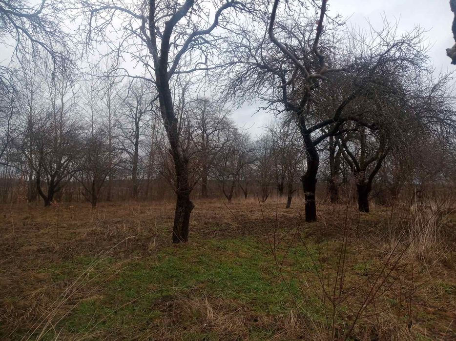 Продається будинок дуже гарному стані ковельський район село мизове