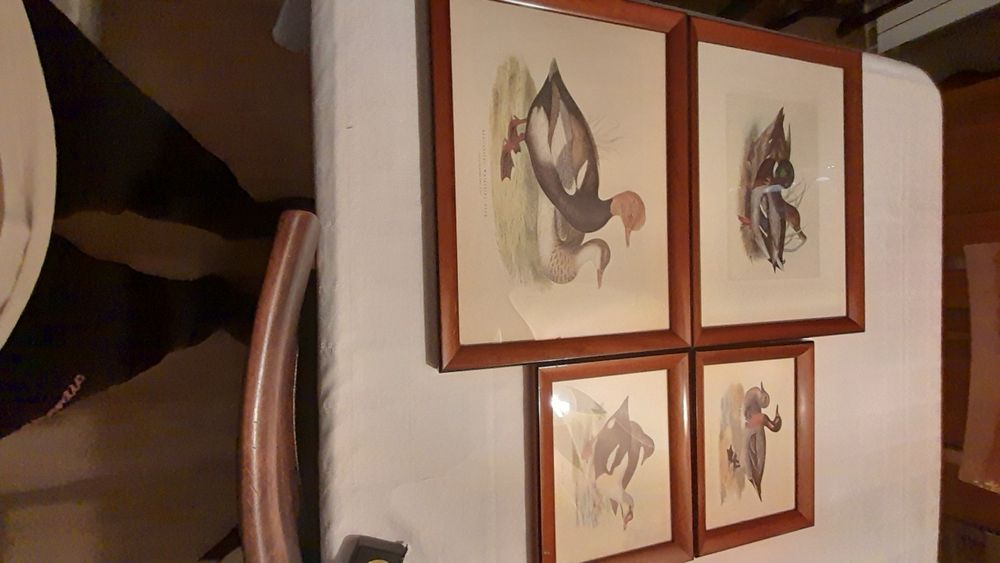4 gravuras, 2 medidas 44x33 cms + 28x22 cms