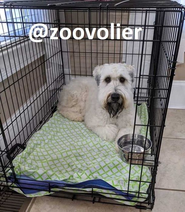 Клетка, клітка, переноска вольер будка, домик для собак или кошек