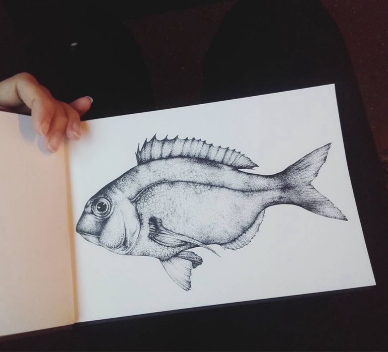 Explicações/Aulas Desenho