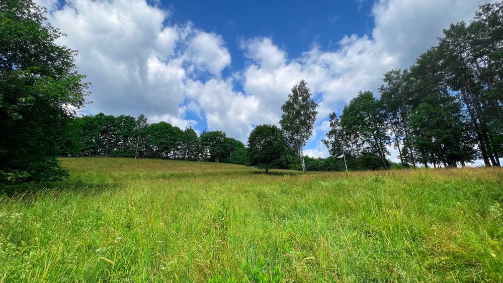 Działki budowlane rekreacyjne Nowa Bystrzyca Spalona 0,56ha