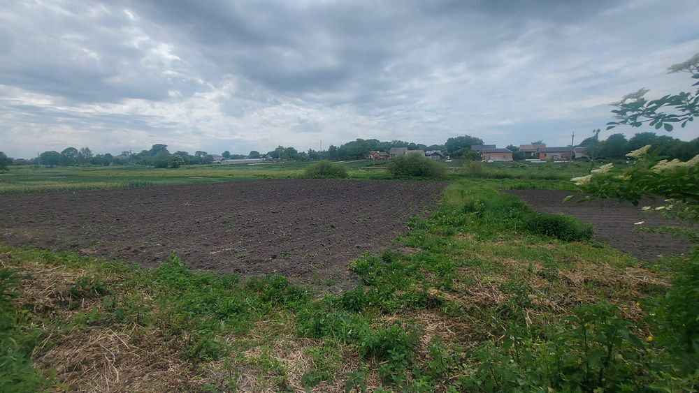 Терміново! Будинок з великою земельною ділянкою в с.Жовтанці