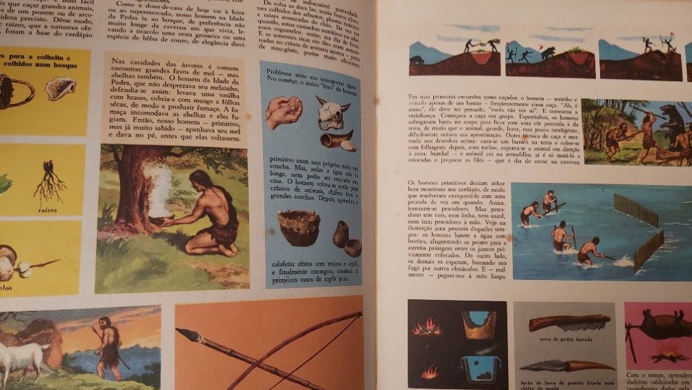 Enciclopédia Conhecer por fascículos