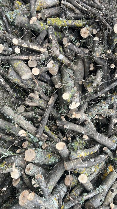 Vende-se lenha de oliveira