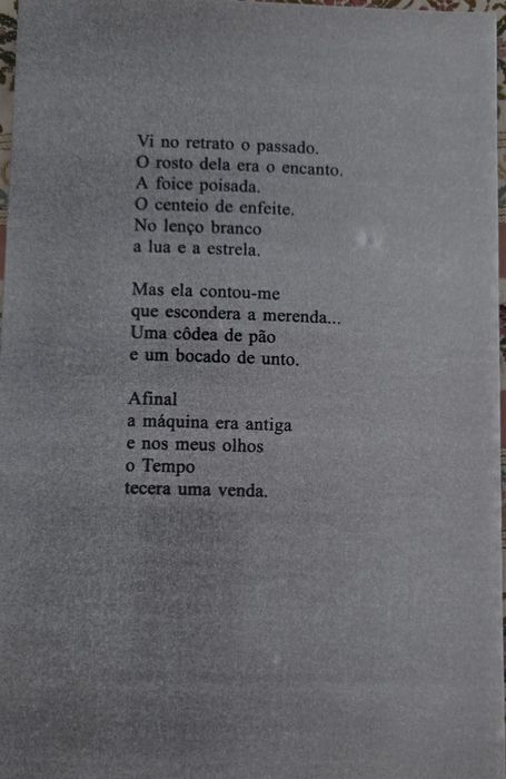 Alentejo Sem Fim, livro