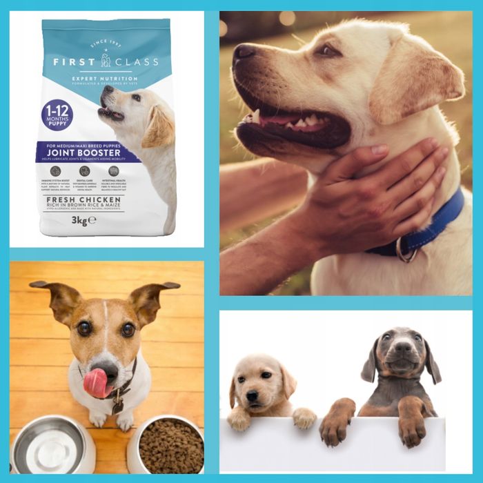 Sucha Karma Dla Szczeniąt Bezzbożowa Premium Kurczak 3kg