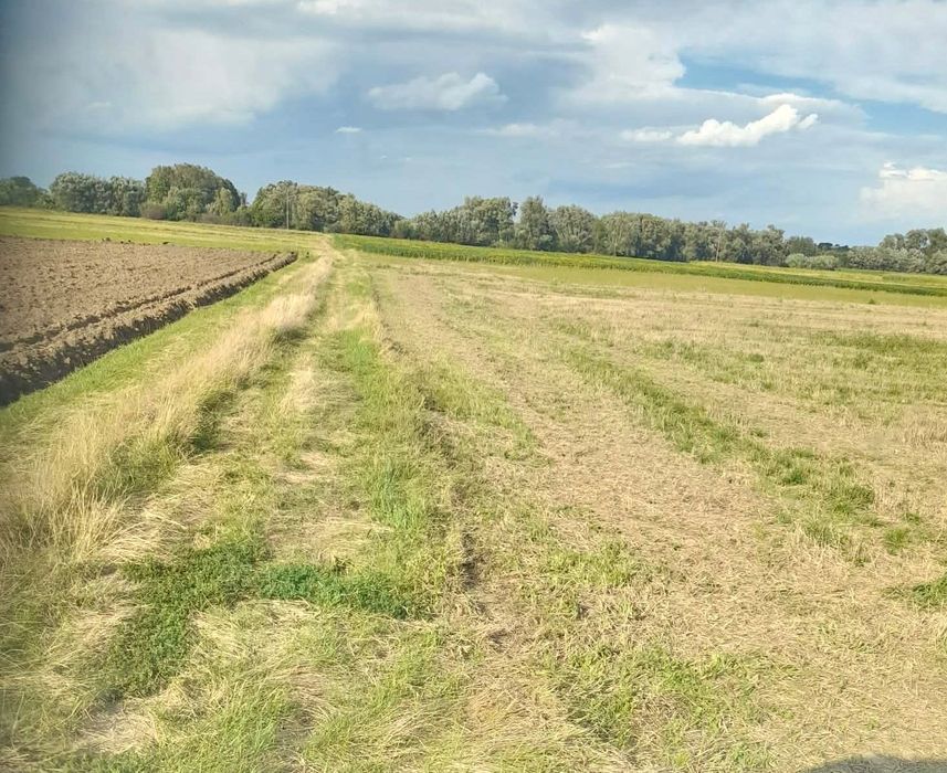 Sprzedam działkę rolną