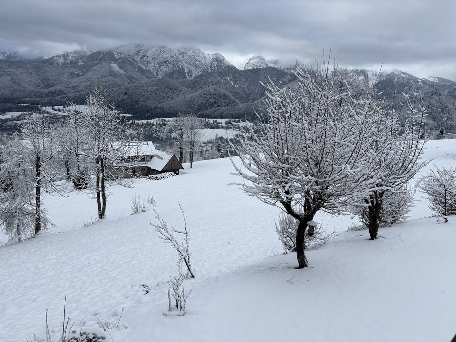 Kościelisko - pokoje z widokami na całe Tatry