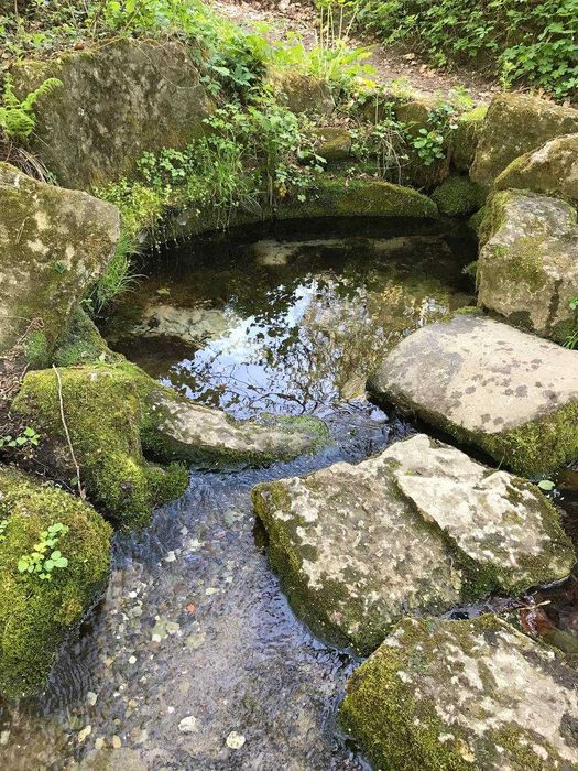 Продам земельну ділянку у Середкевичах під форелеве господарство .