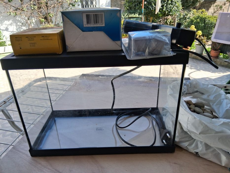 Aquário para peixes completo