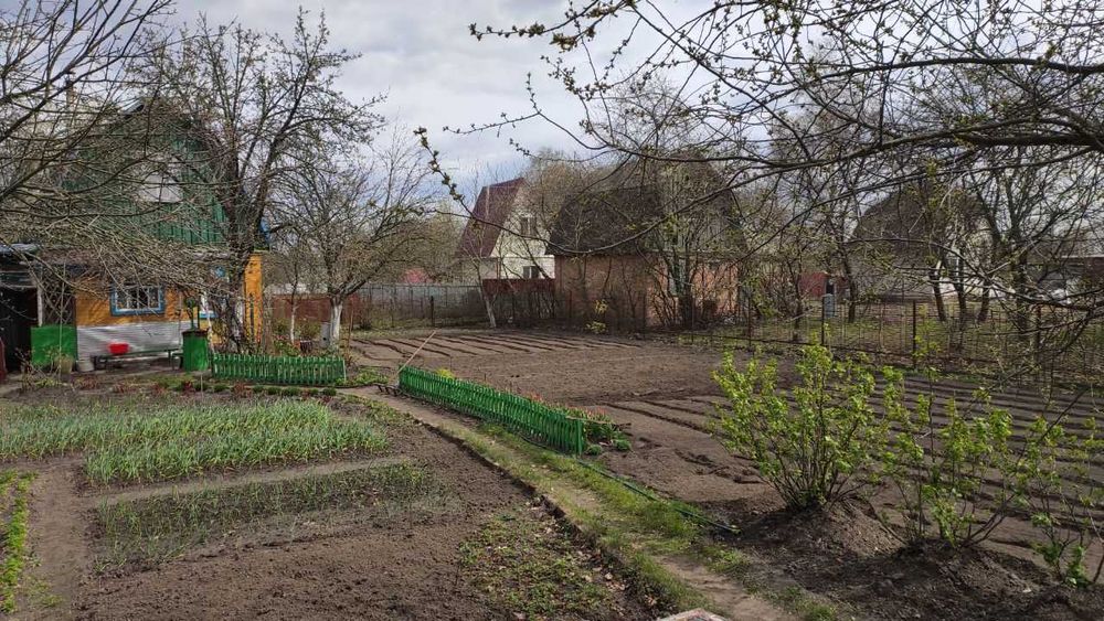 Продається присадибна ділянка (с.Хвилівка) ТЕРМІНОВО!