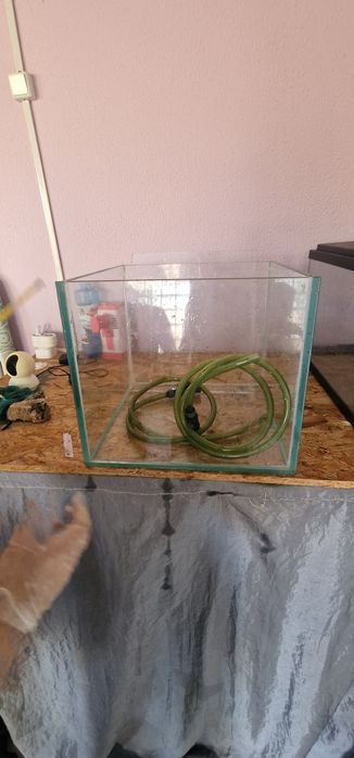 Aquario de criação