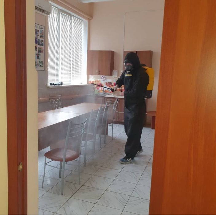 Травля тарганів блох клопів мишей крыс сколопендры. Удаление плесени