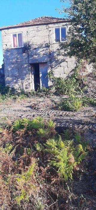 Quinta com casa para restaurar