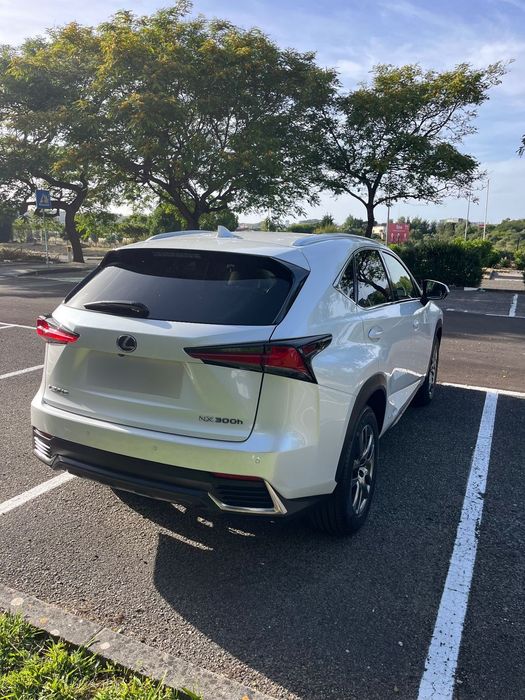 Lexus NX 300h Executive Plus475938457797283844