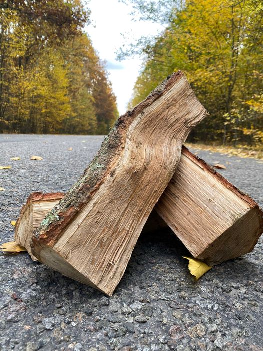 Лесничество. Дрова колотые дубовые. Береза, ольха, сосна. Купить дрова