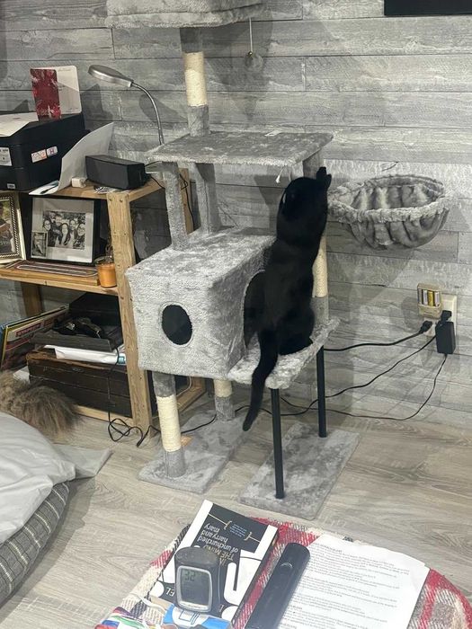 Drapak dla kota wysoki 125cm Nowy Domek Hamak Legowisko Szary