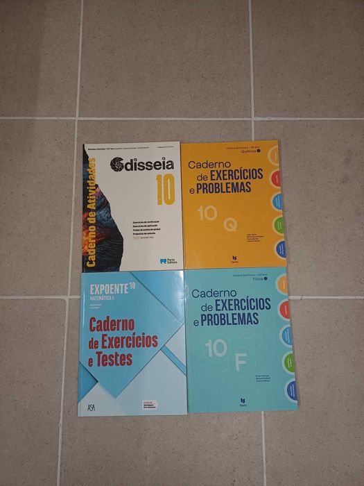 Cadernos de atividade 10° ano