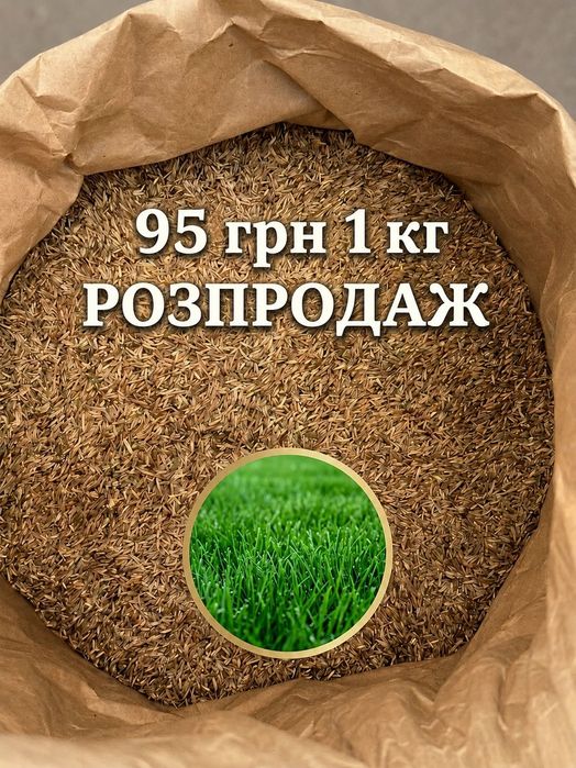 Насіння універсальної газонної трави / Семена газонных трав / Семена газонной травы универсальной
